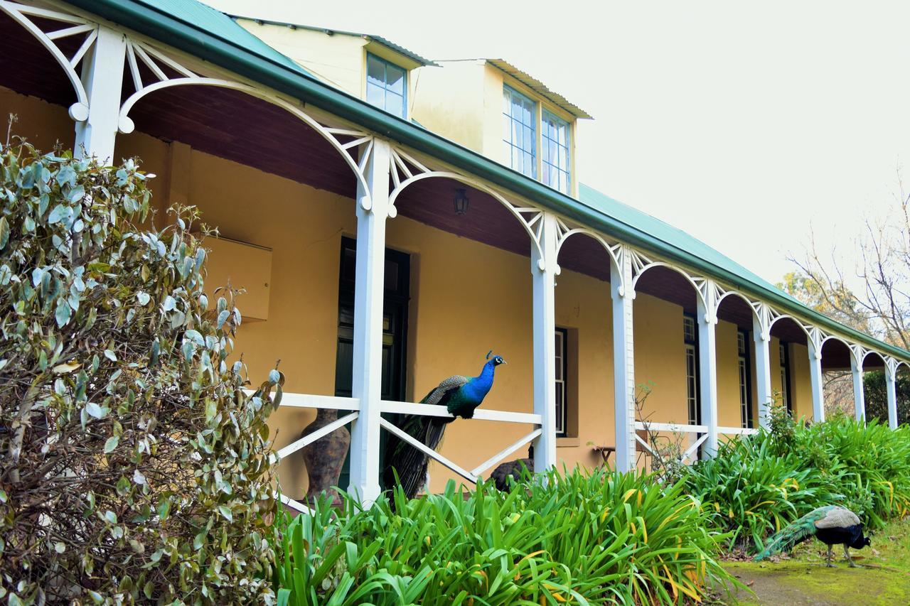 Cleburne Homestead Risdon Ngoại thất bức ảnh