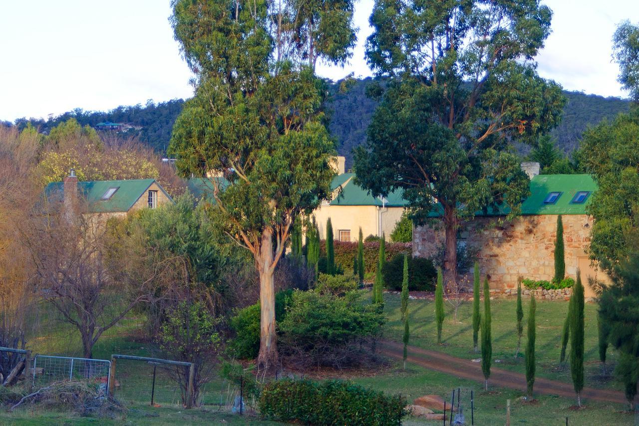 Cleburne Homestead Risdon Ngoại thất bức ảnh